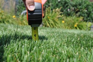 Berks County mowing tips